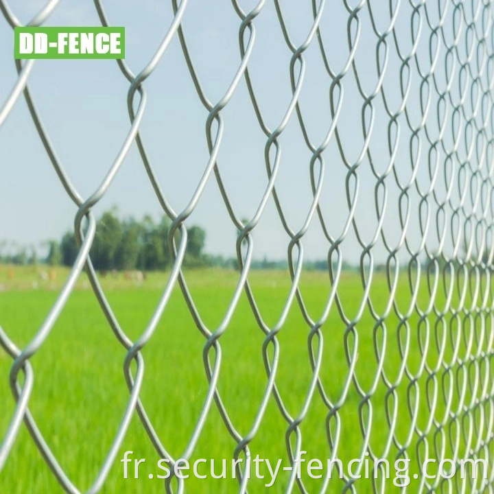 PVC Coated Chain Link Fence